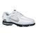 White/Metallic Silver