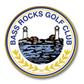 Logo Golf Custom Logo ColorMagic Ball Marker
