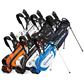 Taylor Made Custom Logo Custom MicroLite Stand Bag