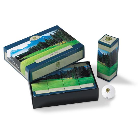 Titleist Panoramic Template PackEdge Custom Dozen