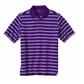 PING Muni Polo
