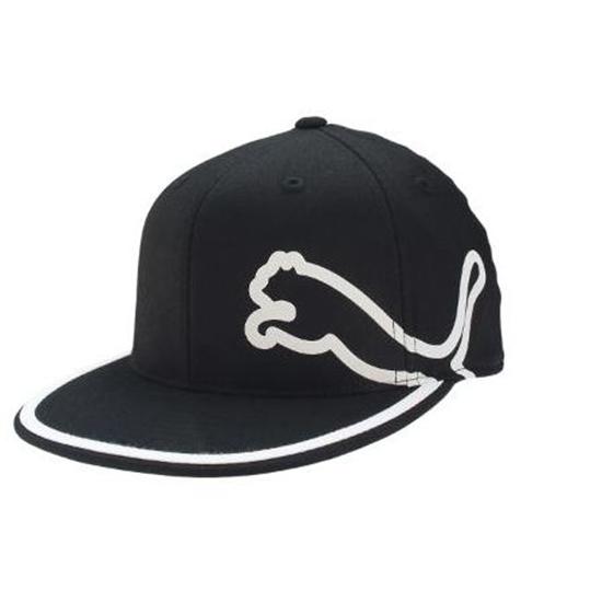 Puma Men's Fitted Monoline Hat