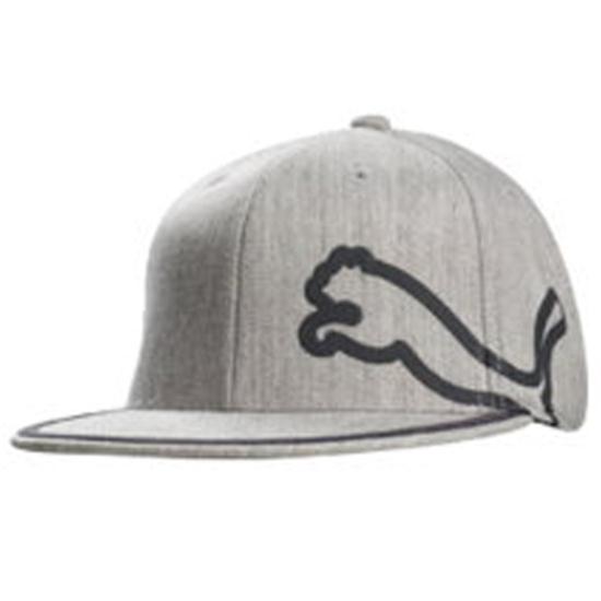 Puma Men's Fitted Monoline Hat