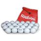 Wilson Double Dozen Golf Balls with Free Shag Bag