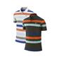 Nike Men's Sport Stripe Polo
