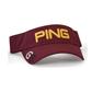 PING Visor