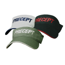 Precept Visor
