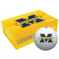 Titleist Collegiate Golf Balls - Michigan Wolverines - Personalized
